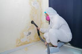 Reliable Darnestown, MD Mold Inspection Solutions